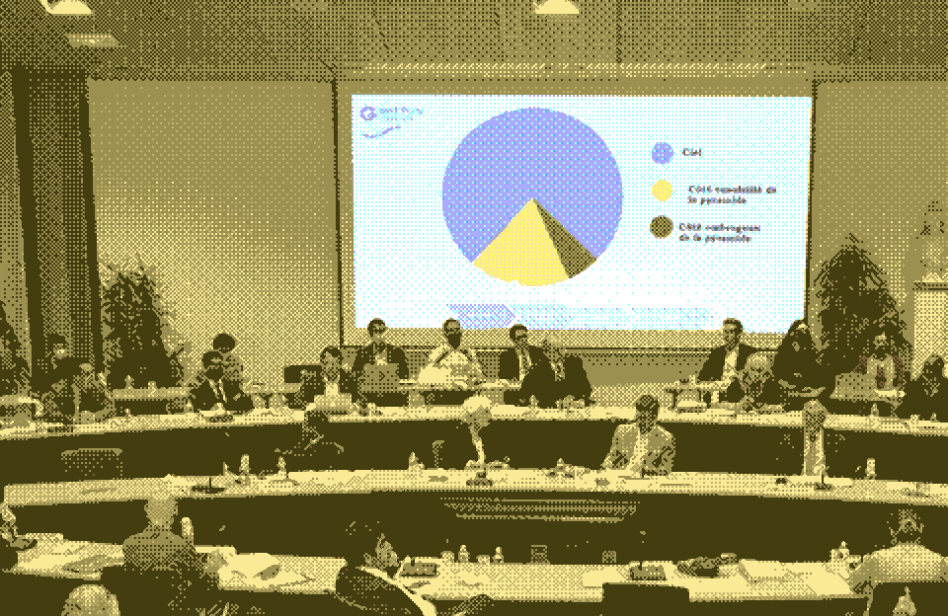 Conseil de territoire avec un écran sur lequel est projeté le budget