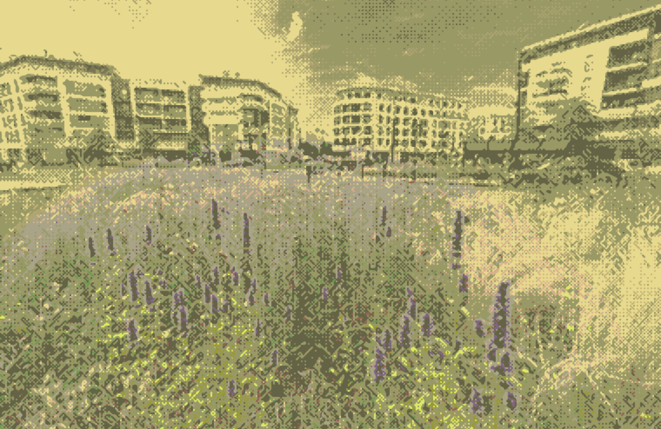 Image de la ville avec un champs au premier plan